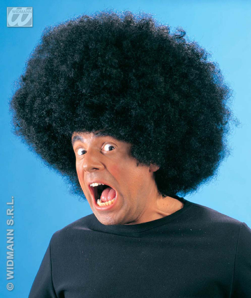Perruque afro - disco noire