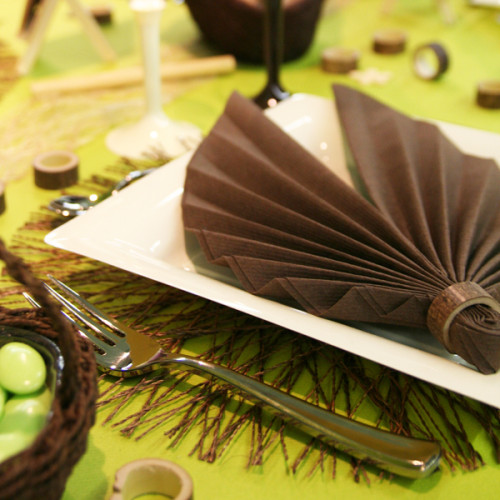 Assiette et pliage de serviettes