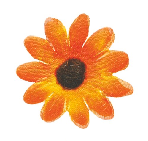 Fleurs sans tige décorative