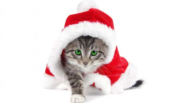 Fond d'écran pour Noël et le réveillon