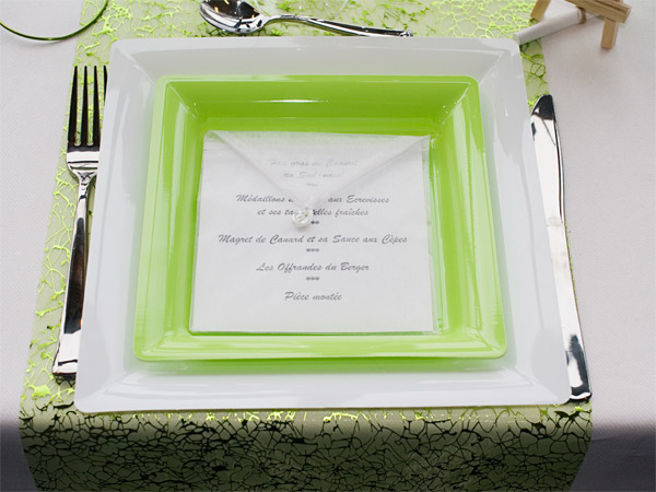 Assiettes recevant une enveloppe en organdi