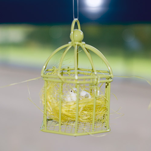 Cage à oiseaux