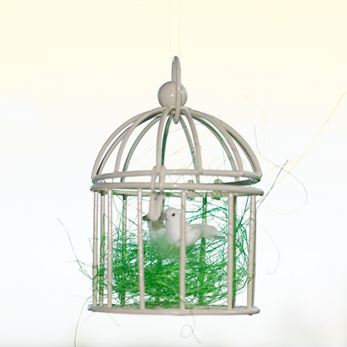 Cage à oiseaux