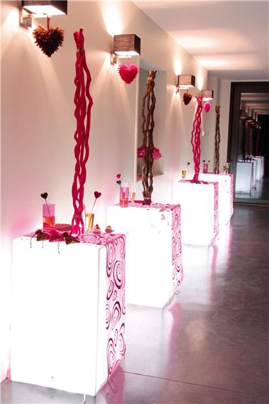 Décoration de salle en bois flotté