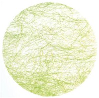 I-Grande-7959-4-sets-de-table-en-abaca-paillete-vert-anis.n