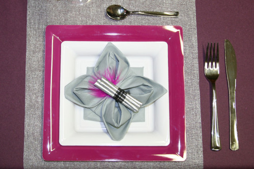 Assiette prune, couverts plastique imitation inox, pliage nénuphar Assiette prune, couverts plastique imitation inox, pliage nénuphar
