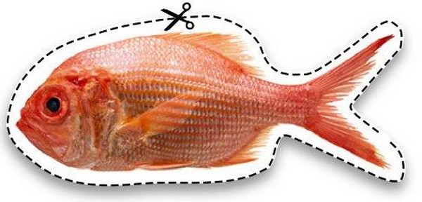 Poisson d'avril à imprimer et à coller