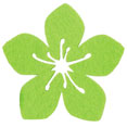 Hibiscus en feutrine, vert anis Hibiscus en feutrine, vert anis
