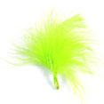 20 Plumes vert anis 20 Plumes vert anis