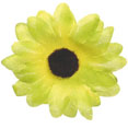 Fleurs sans tige vert anis Fleurs sans tige vert anis