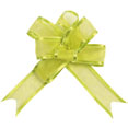 Noeuds automatiques organdi vert anis Noeuds automatiques organdi vert anis