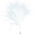 Plumes blanches Plumes blanches