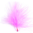 Plumes roses Plumes roses