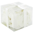 Pétales de roses, blanc Pétales de roses, blanc