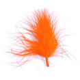 Plumes, orange Plumes, orange