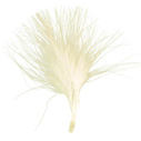 Plumes, ivoire Plumes, ivoire