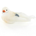 Oiseaux ivoire sur pique Oiseaux ivoire sur pique
