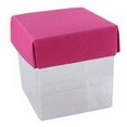 Contenant à dragées mini cube, fuchsia Contenant à dragées mini cube, fuchsia