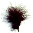 Plumes, chocolat Plumes, chocolat