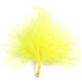 Plumes, jaune Plumes, jaune