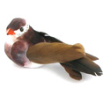 Oiseaux chocolat sur pique Oiseaux chocolat sur pique