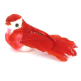 Oiseaux rouges sur pique Oiseaux rouges sur pique